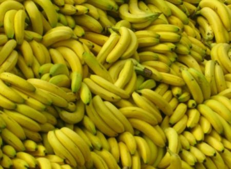 La Repubblica delle banane
